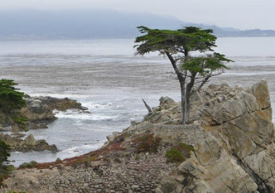 couples picture 400x280