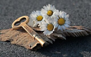 Image of a key with daisies sitting on top of driftwood.